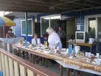 Презентация первого дома в «Венеции»