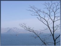 Вид через залив